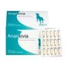 Ananxivia Grand Chien 1 Ananxivia Grand Chien -Animaux Compagnie Fournitures Magasin ananxivia grand chien