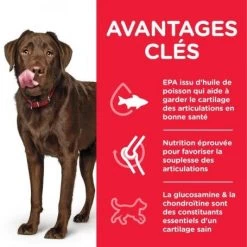 Canine Adult Large Healthy Mobility 7 Canine Adult Large Healthy Mobility -Animaux Compagnie Fournitures Magasin canine adult large healthy mobility 1