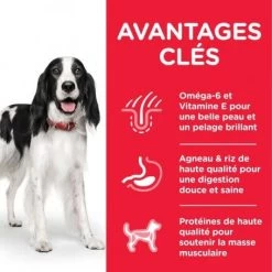 Canine Adult Medium Agneau & Riz -Animaux Compagnie Fournitures Magasin canine adult medium agneau riz 1