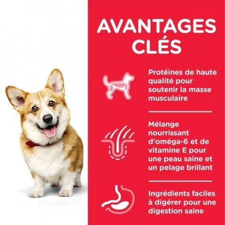 Canine Adult Small & Mini Poulet 4 Canine Adult Small & Mini Poulet – Image 2