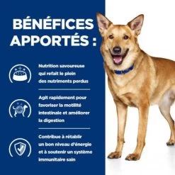 I/D Digestive Croquettes Pour Chien Et Chiot Au Poulet -Animaux Compagnie Fournitures Magasin canine i d digestive care activ biome 3