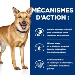 I/D Digestive Croquettes Pour Chien Et Chiot Au Poulet -Animaux Compagnie Fournitures Magasin canine i d digestive care activ biome 4