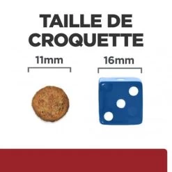 I/D Digestive Croquettes Pour Chien Et Chiot Au Poulet -Animaux Compagnie Fournitures Magasin canine i d digestive care activ biome 5