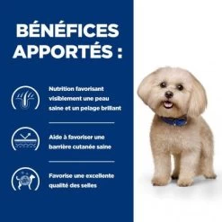 Z/D Food Sensitivities Mini Croquettes Pour Petit Chien -Animaux Compagnie Fournitures Magasin canine z d food sensitivities activ biome mini 2