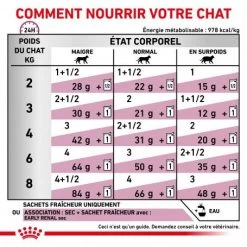 ROYAL CANIN Cat Early Renal Sachet Repas -Animaux Compagnie Fournitures Magasin cat early renal sachet repas 4
