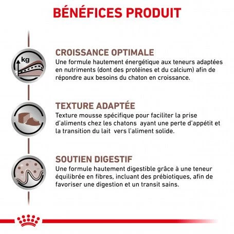 ROYAL CANIN Cat Gastro Intestinal Kitten Boîte 4 ROYAL CANIN Cat Gastro Intestinal Kitten Boîte – Image 2