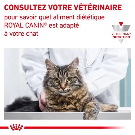 ROYAL CANIN Cat Gastro Intestinal Kitten Boîte 8 ROYAL CANIN Cat Gastro Intestinal Kitten Boîte – Image 6