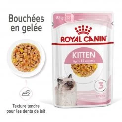 Cat Kitten Royal Canin Emincé En Gelée Sachet Repas 13 Cat Kitten Royal Canin Emincé En Gelée Sachet Repas -Animaux Compagnie Fournitures Magasin cat kitten royal canin emince en gelee sachet repas 2