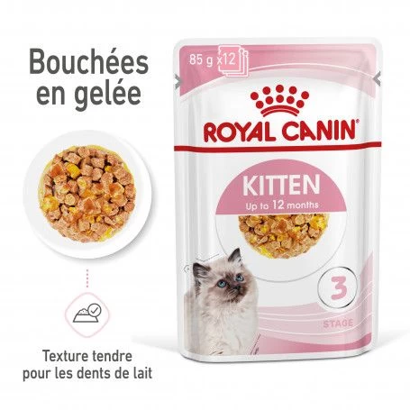 Cat Kitten Royal Canin Emincé En Gelée Sachet Repas 5 Cat Kitten Royal Canin Emincé En Gelée Sachet Repas – Image 3