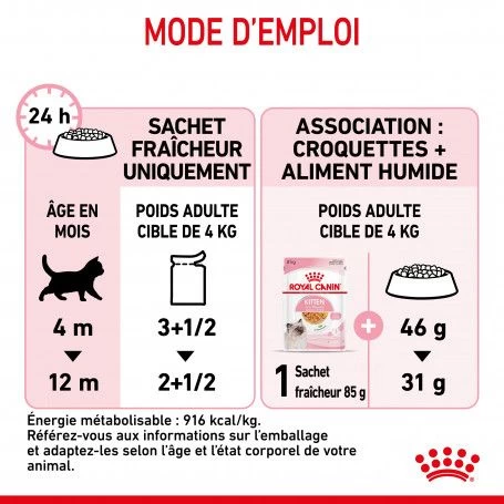 Cat Kitten Royal Canin Emincé En Gelée Sachet Repas 6 Cat Kitten Royal Canin Emincé En Gelée Sachet Repas – Image 4