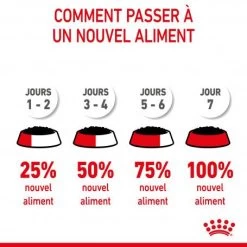 Cat Kitten Royal Canin Emincé En Gelée Sachet Repas 15 Cat Kitten Royal Canin Emincé En Gelée Sachet Repas -Animaux Compagnie Fournitures Magasin cat kitten royal canin emince en gelee sachet repas 4