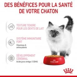 Cat Kitten Royal Canin Emincé En Gelée Sachet Repas 17 Cat Kitten Royal Canin Emincé En Gelée Sachet Repas -Animaux Compagnie Fournitures Magasin cat kitten royal canin emince en gelee sachet repas 6