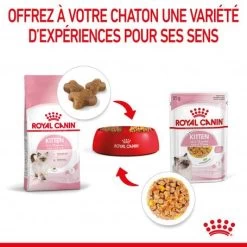 Cat Kitten Royal Canin Emincé En Gelée Sachet Repas 18 Cat Kitten Royal Canin Emincé En Gelée Sachet Repas -Animaux Compagnie Fournitures Magasin cat kitten royal canin emince en gelee sachet repas 7
