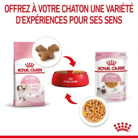 Cat Kitten Royal Canin Emincé En Gelée Sachet Repas 10 Cat Kitten Royal Canin Emincé En Gelée Sachet Repas – Image 8
