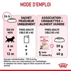 Cat Kitten Sterilised Royal Canin Emincé En Gelée Sachet Repas -Animaux Compagnie Fournitures Magasin cat kitten sterilised royal canin eminen gelee sachet repas 4