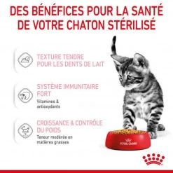 Cat Kitten Sterilised Royal Canin Emincé En Gelée Sachet Repas -Animaux Compagnie Fournitures Magasin cat kitten sterilised royal canin eminen gelee sachet repas 6