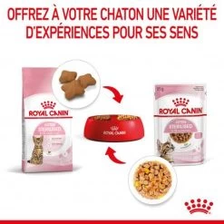 Cat Kitten Sterilised Royal Canin Emincé En Gelée Sachet Repas -Animaux Compagnie Fournitures Magasin cat kitten sterilised royal canin eminen gelee sachet repas 7
