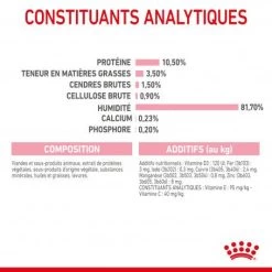 Cat Kitten Sterilised Royal Canin Emincé En Gelée Sachet Repas -Animaux Compagnie Fournitures Magasin cat kitten sterilised royal canin eminen gelee sachet repas 8