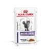 ROYAL CANIN Cat Mature Consult Sachet Repas 1 ROYAL CANIN Cat Mature Consult Sachet Repas -Animaux Compagnie Fournitures Magasin cat mature consult sachet repas