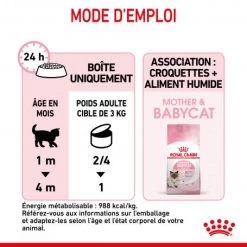 ROYAL CANIN Cat Mother & Babycat Boîte -Animaux Compagnie Fournitures Magasin cat mother babycat boite 1