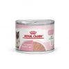 ROYAL CANIN Cat Mother & Babycat Boîte -Animaux Compagnie Fournitures Magasin cat mother babycat boite