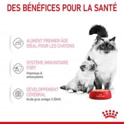 ROYAL CANIN Cat Mother & Babycat Boîte -Animaux Compagnie Fournitures Magasin cat mother babycat boite 3