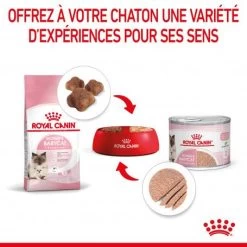ROYAL CANIN Cat Mother & Babycat Boîte -Animaux Compagnie Fournitures Magasin cat mother babycat boite 4
