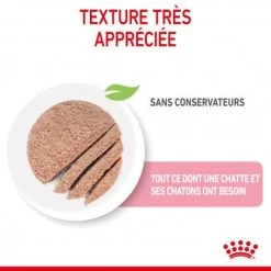 ROYAL CANIN Cat Mother & Babycat Boîte -Animaux Compagnie Fournitures Magasin cat mother babycat boite 5