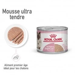 ROYAL CANIN Cat Mother & Babycat Boîte -Animaux Compagnie Fournitures Magasin cat mother babycat boite 6