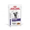 ROYAL CANIN Cat Neutered Balance Sachet Repas -Animaux Compagnie Fournitures Magasin cat neutered balance sachet repas