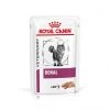 ROYAL CANIN Cat Renal Poulet Mousse Sachet Repas -Animaux Compagnie Fournitures Magasin cat renal poulet mousse sachet repas
