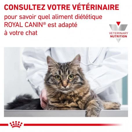 ROYAL CANIN Cat Renal Poulet Mousse Sachet Repas 9 ROYAL CANIN Cat Renal Poulet Mousse Sachet Repas – Image 7