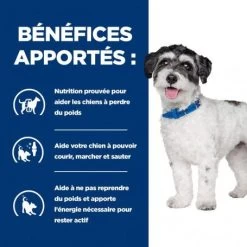 J/d Metabolic+Mobility Mini Croquettes Pour Petit Chien Au Poulet -Animaux Compagnie Fournitures Magasin chien j d metabolicmobility mini poulet 2