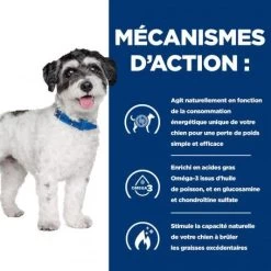J/d Metabolic+Mobility Mini Croquettes Pour Petit Chien Au Poulet -Animaux Compagnie Fournitures Magasin chien j d metabolicmobility mini poulet 3