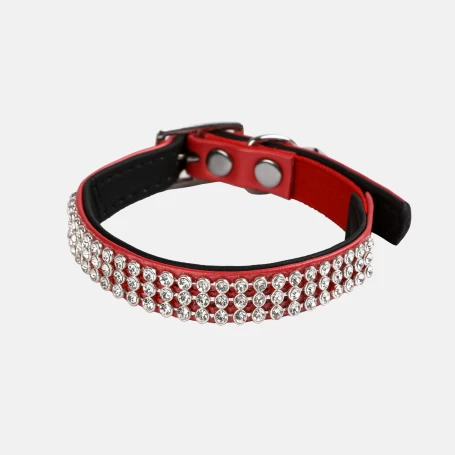 Materiel Collier Chat Wouapy Diam's 4 Materiel Collier Chat Wouapy Diam's – Image 2