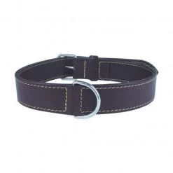 Materiel Collier Cuir Doublé