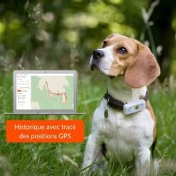 Materiel Collier GPS Weenect Dogs 2 Pour Chien 19 Materiel Collier GPS Weenect Dogs 2 Pour Chien -Animaux Compagnie Fournitures Magasin collier gps weenect dogs 2 pour chien 6