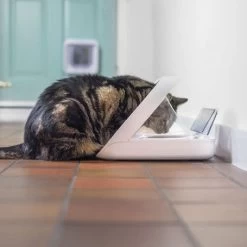 Materiel Distributeur Automatique De Nourriture SureFeed Connect 15 Materiel Distributeur Automatique De Nourriture SureFeed Connect -Animaux Compagnie Fournitures Magasin distributeur automatique de nourriture surefeed connect 5