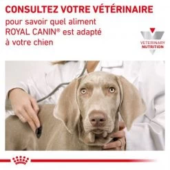 ROYAL CANIN Dog Mobility Support -Animaux Compagnie Fournitures Magasin dog mobility support 6