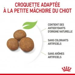 ROYAL CANIN Dog Puppy Maxi 12 ROYAL CANIN Dog Puppy Maxi -Animaux Compagnie Fournitures Magasin dog puppy maxi 2