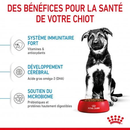 ROYAL CANIN Dog Puppy Maxi 7 ROYAL CANIN Dog Puppy Maxi – Image 5