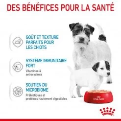 ROYAL CANIN Dog Starter Mother & Babydog Mousse Boîte 11 ROYAL CANIN Dog Starter Mother & Babydog Mousse Boîte -Animaux Compagnie Fournitures Magasin dog starter mother babycat mousse boite 3