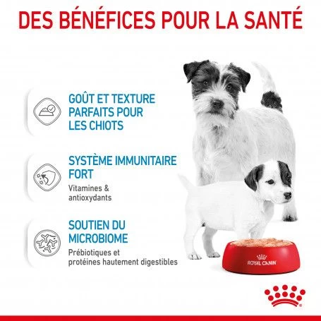 ROYAL CANIN Dog Starter Mother & Babydog Mousse Boîte 6 ROYAL CANIN Dog Starter Mother & Babydog Mousse Boîte – Image 4