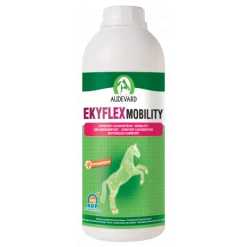 Ekyflex Mobility