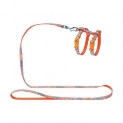 Materiel Ensemble Harnais / Laisse Chat Hunter