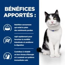 I/d Digestive Boîte Pour Chat Et Chaton Poulet -Animaux Compagnie Fournitures Magasin feline i d digestive care activ biome boite 3