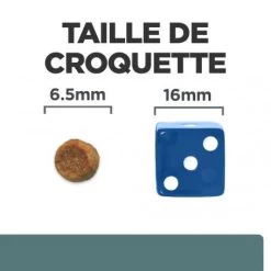 W/D Multi Benefit Croquettes Pour Chat Au Poulet -Animaux Compagnie Fournitures Magasin feline w d 5
