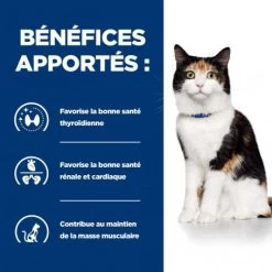 Y/d Thyroid Boîte Pour Chat -Animaux Compagnie Fournitures Magasin feline y d boite 3