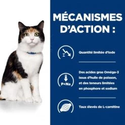 Y/d Thyroid Boîte Pour Chat -Animaux Compagnie Fournitures Magasin feline y d boite 4