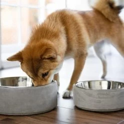 Materiel Gamelle 2 En 1 BeOneBreed Concrete